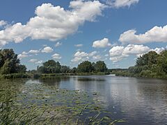 Ouderkerk ad Amstel, zicht op de Ronde Hoep foto2 2015-08-28 13.26