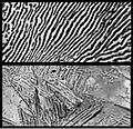 Photomicrograph of annealed and quenched steel, from 1911 Britannica plates 11 and 14