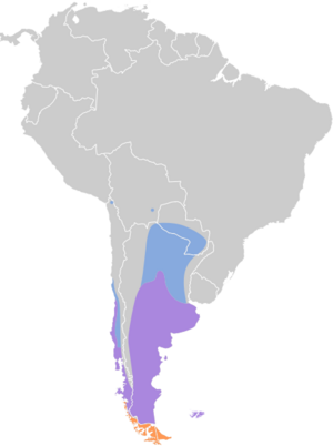 Podiceps occipitalis map.svg