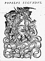 PopielBis1581
