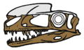 Proceratosaurus skull