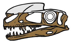 Proceratosaurus skull.png