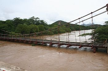Puente colgante sobre el Rio Tocuyo.JPG