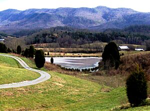 Retention-pond-wildwood-tn1