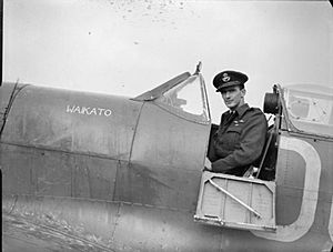 Royal Air Force Fighter Command, 1939-1945. CH5061.jpg