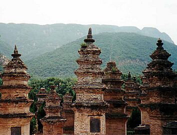 Shaolin Pagoda Forest, Henan, China - June 2001