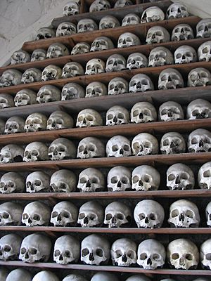 Skulls in St Leonards