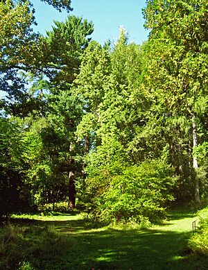 Springside landscape