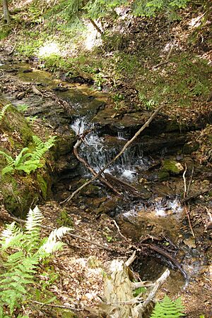 Tannery creek