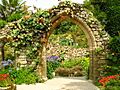 The Abbey Garden, Tresco - geograph.org.uk - 15825