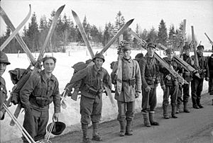 The British Army in Norway April - June 1940 N160