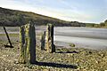 The River Lynher at low tide - geograph.org.uk - 1049579