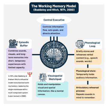 The Working Memory Model
