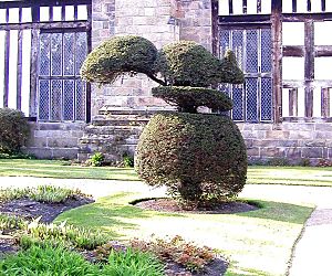 Topiary Rufford Hall
