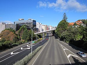 Wellington Urban Motorway passing through the Bolton Street Memorial Park - June 2012
