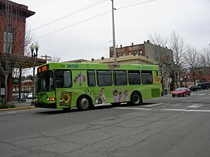 Whatcom Transit Bus 01