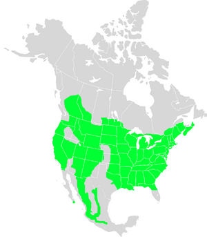White-breasted nuthatch range map.png