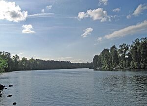 Willamette River at Molalla SP eb