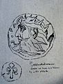 William Blake - Nebuchadnezzar Coin, Butlin 704 (tracing by Linnell) 45x50mm G Ingli James Cardiff