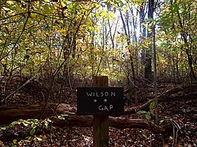 Wilson gap sign.jpg