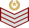 04.Pakistan Army-SSG