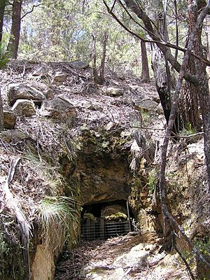 1803 - Yooroonah Tank Barrier - Trench and entrance to mined explosives tunnel (under Old Armidale-Ebor Road). (5056093b2)