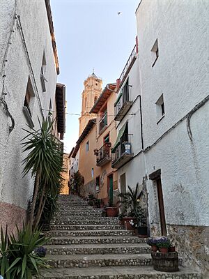 20230510 escalinata en Belmonte de San José.jpg