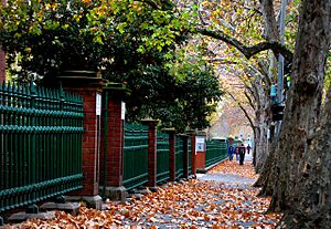 Adelaide. Autumn walk. (20016607286)