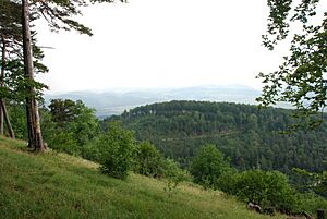 Aesch BL countryside