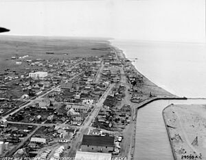 Alaska - Nabesna through Nome - NARA - 23942215