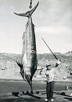 Alfred Glassell's black marlin