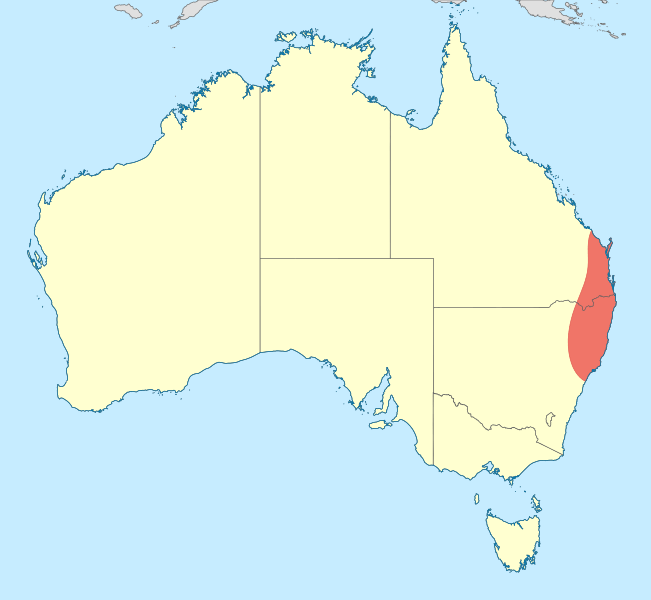 Austrolestes minjerriba distribution map