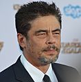Benicio Del Toro - GOTG2 premiere - July 2014 (sq-trim)