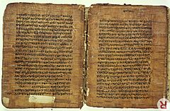 Birch bark MS from Kashmir of the Rupavatra Wellcome L0032691
