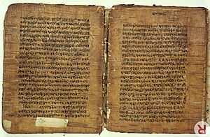 Birch bark MS from Kashmir of the Rupavatra Wellcome L0032691