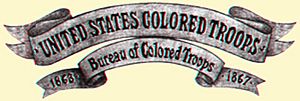 Bureau of Colored Troops banner
