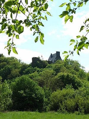 Burg Waldeck (Hunsrück) (1)