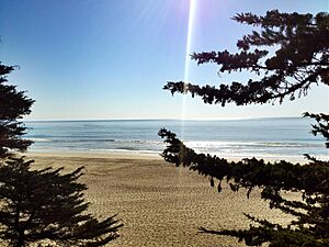 California Route 1 Highway - Sunset Beach and Park near Watsonville - panoramio