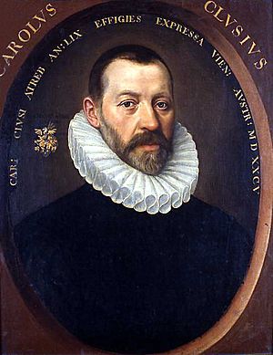 Portrait of Carolus Clusius painted in 1585