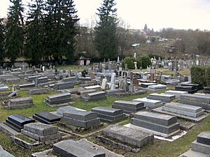 Cimetière juif de Besançon - vue générale
