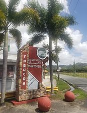 Comunidad Martorell en Barrio Limones en Yabucoa, Puerto Rico
