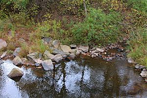 Confluence of Stony Run with Little Catawissa Creek