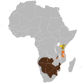 Connochaetes taurinus map