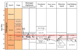 Correlation Margaret Formation