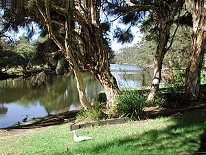 Denmark River and Berridge Park Western Australia