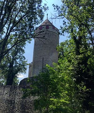 Episcopal Château de Lucens