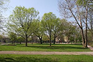 Eugene Field Park 1