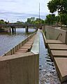 Flint River