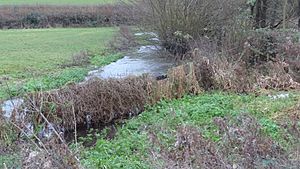 Frogmore Meadows and River Chess 2.JPG