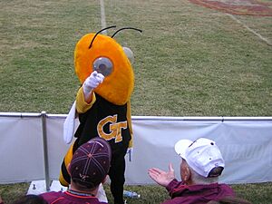 Georgia Tech mascot Buzz